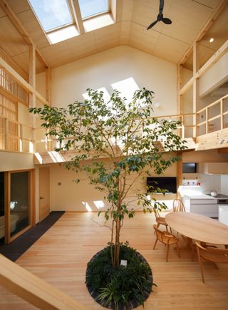 Open plan beach house with large tree in the middle of the wood kitchen