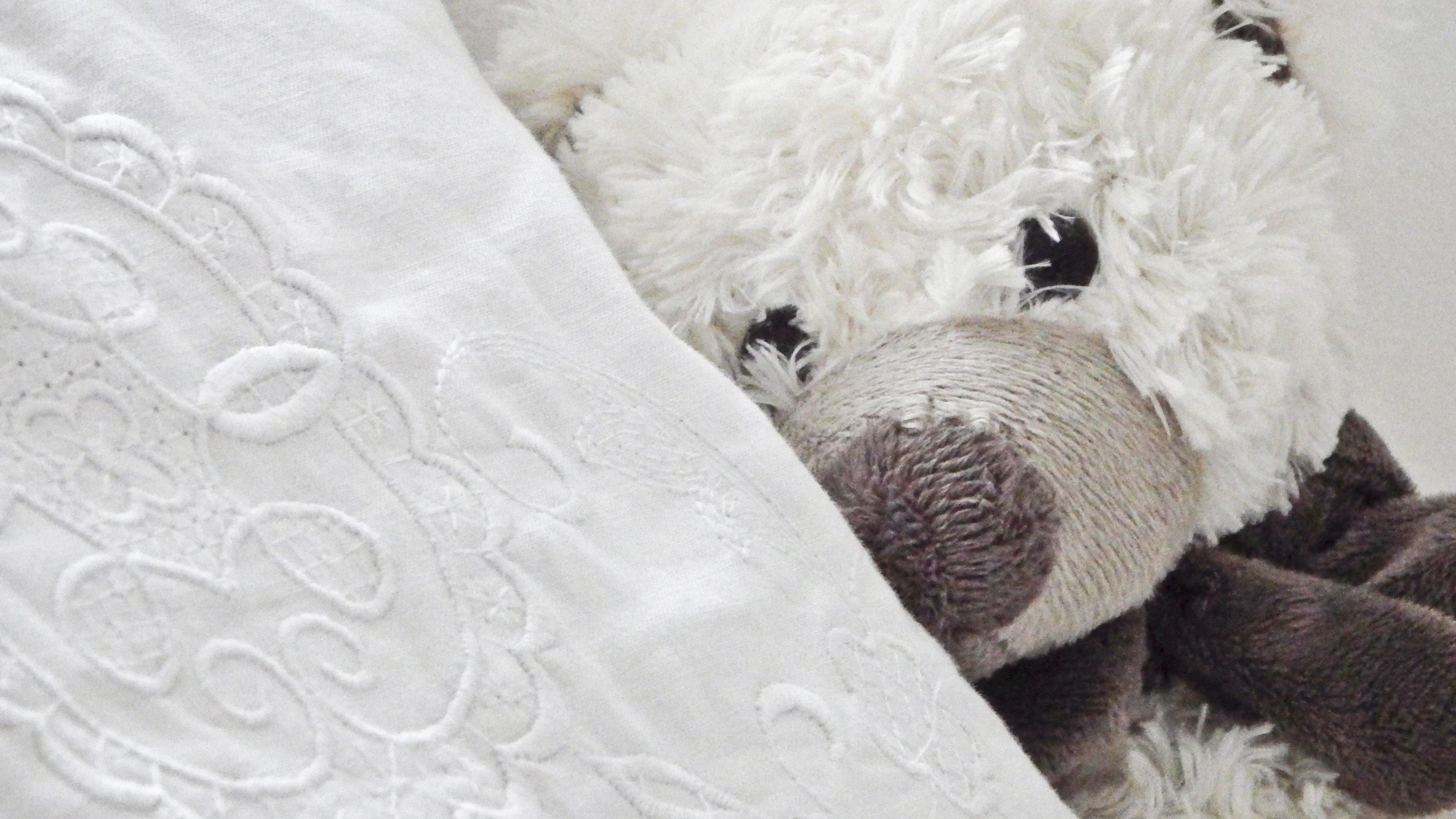 Best comforters