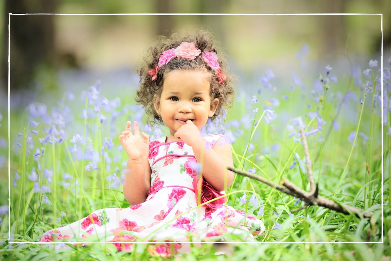 Flower names illustrated by girl sat in meadow