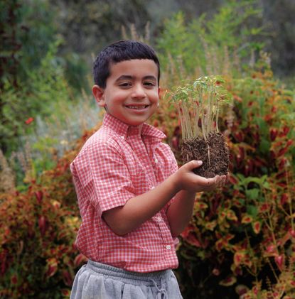 Child Holding An Uprooted Plant In The Garden