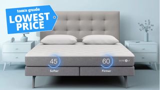 Sleep Number c1 smart bed on grey bed frame in all blue bedroom with two bedside cabinets and plants 