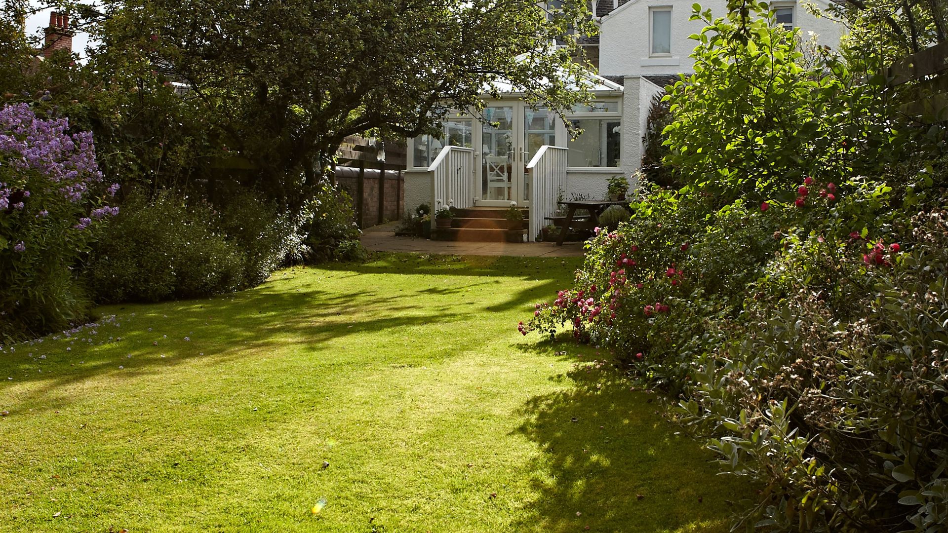 What should I put on my lawn in the summer? Apply these now | Ideal Home