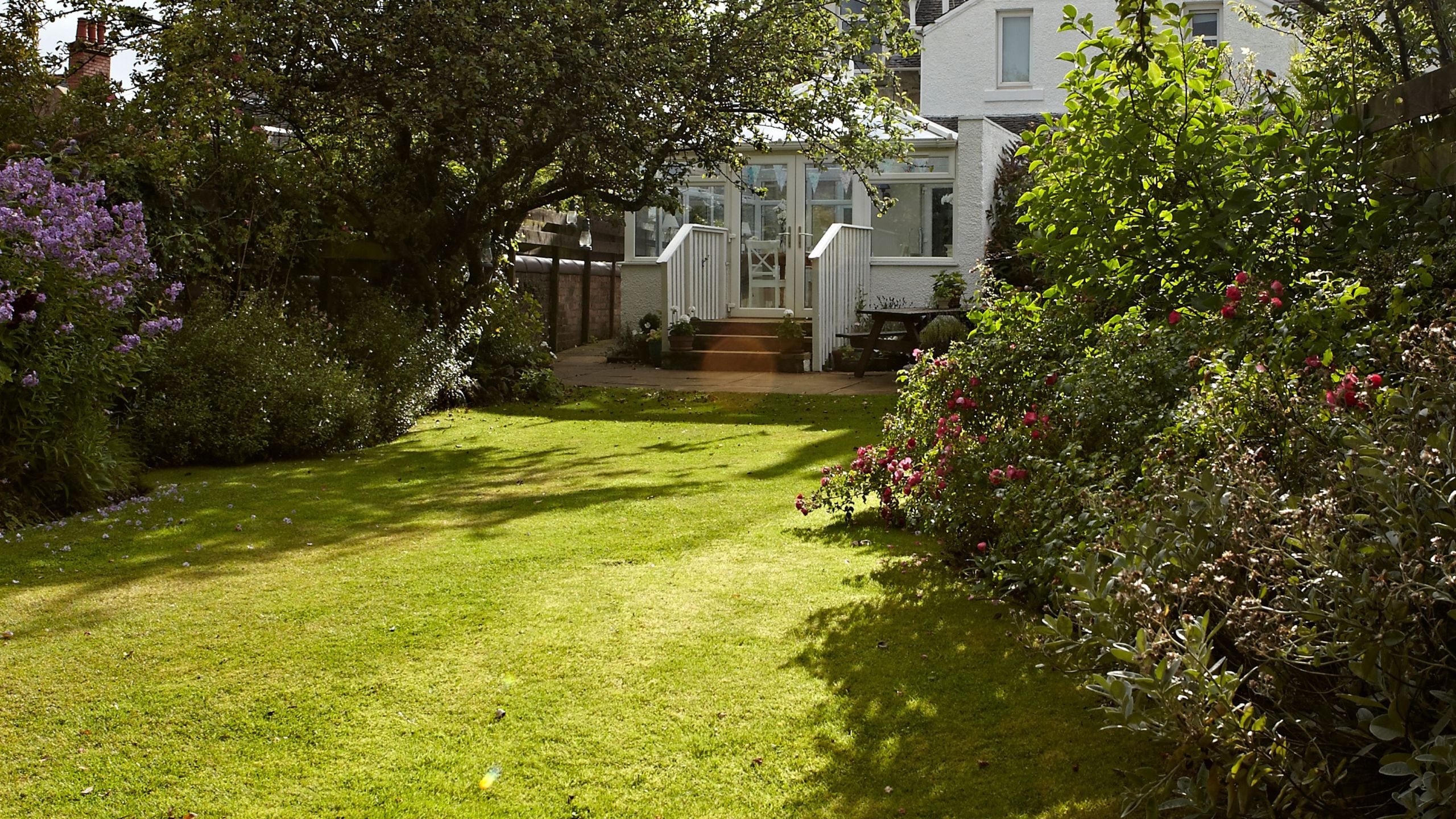 Experts reveal how to repair bald lawn patches after a summer of heat and drought – the simple steps to help your grass recover