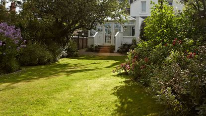 Green grass lawn in garden