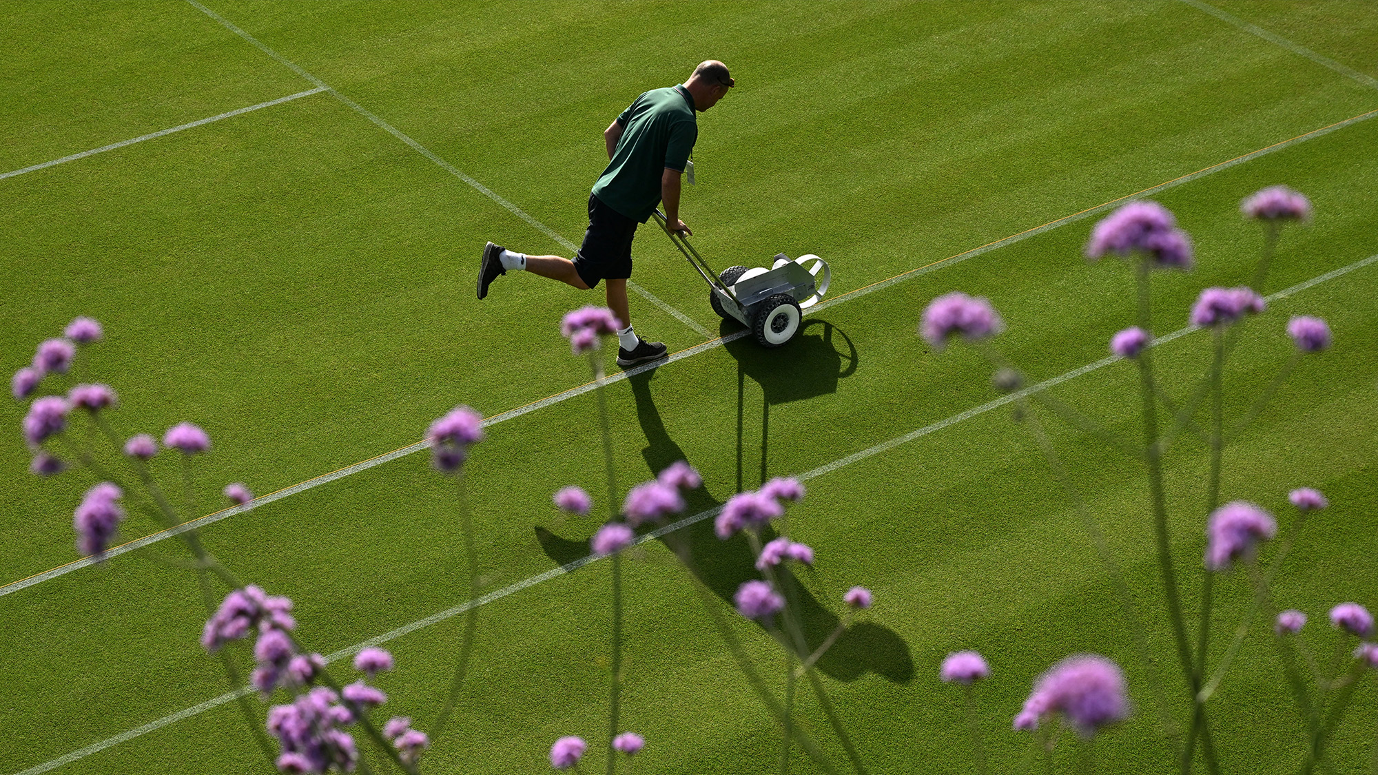 A member of the Wimbledon staff uses a transfer wheel to refresh the line markings on a grass tennis court in London, UK