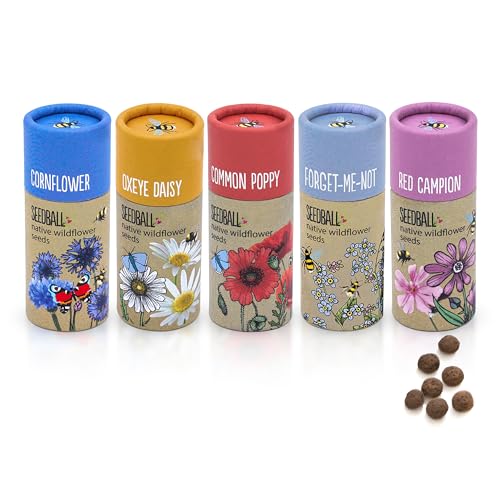 Seedball Wildflower Seed Bombs (set of 5, 20 Balls Per Tube) | Bee Friendly British Wild Flower Seeds - Poppy, Cornflower, Oxeye Daisy, Red Campion &amp;amp; Forget-Me-Not for Garden Wildlife - Gardening Gift