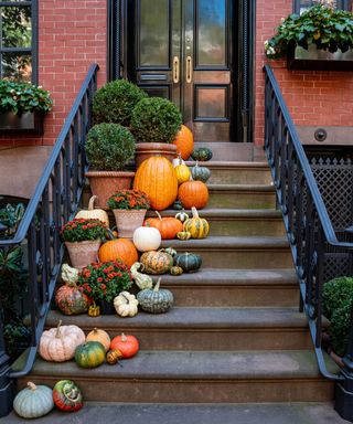 Colorful Pumpkins on the Stairs of an Old Brownstone Home