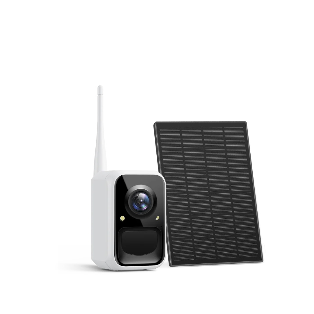 birdfy, Standalone Bird Watching Camera