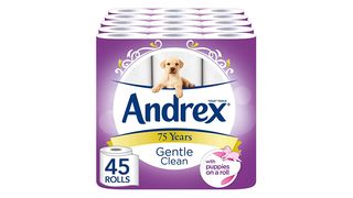 Andrex Gentle Clean Toilet Tissue