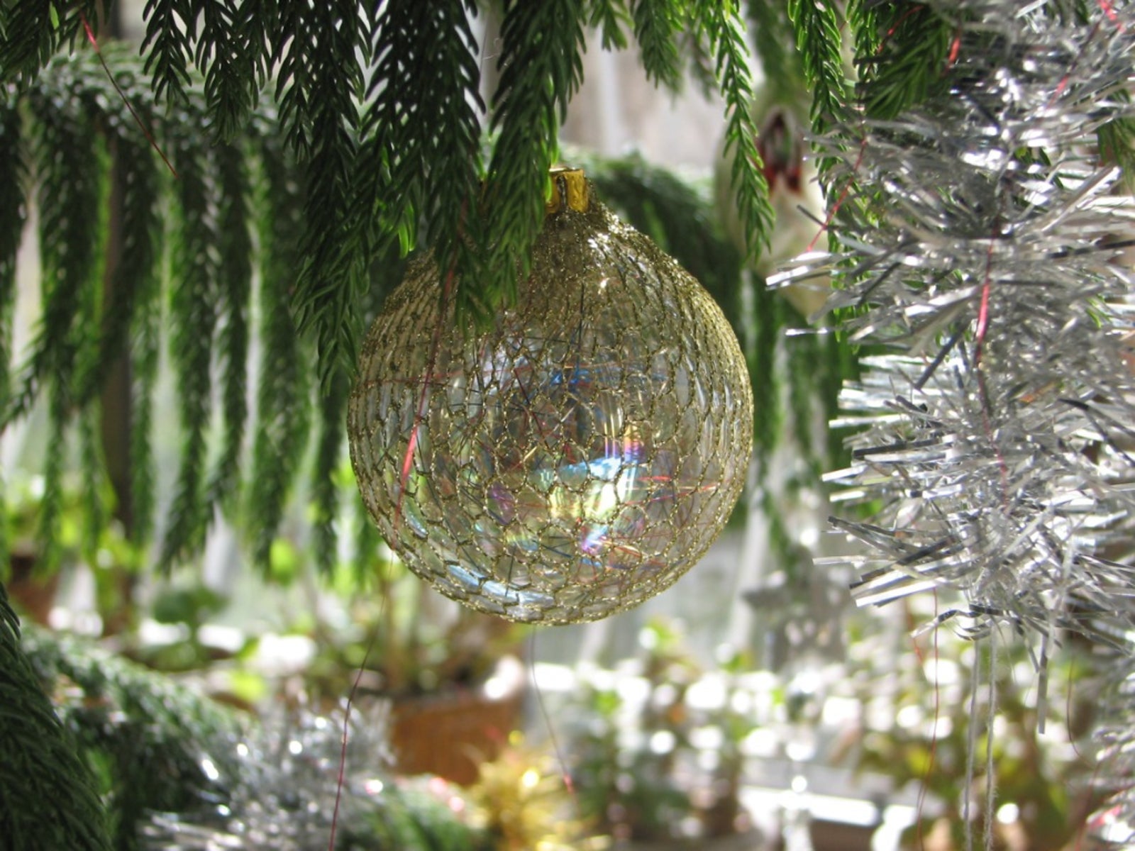 Non-Traditional Christmas Trees