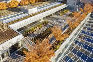 Public Library roof garden by Moshe Safdie Architects, DA architects and Cornelia Oberlander