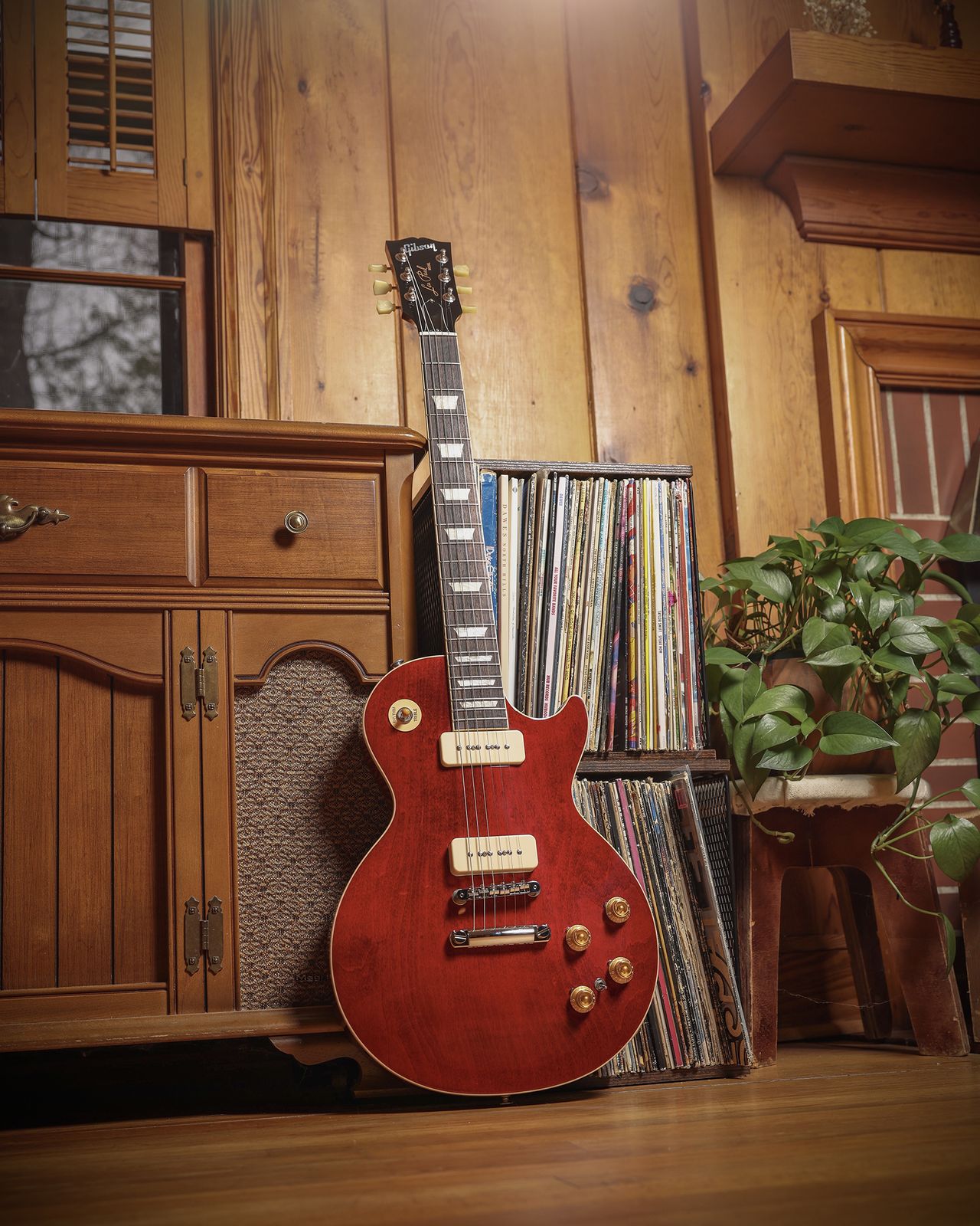 Warren Haynes Signature Gibson Les Paul Standard