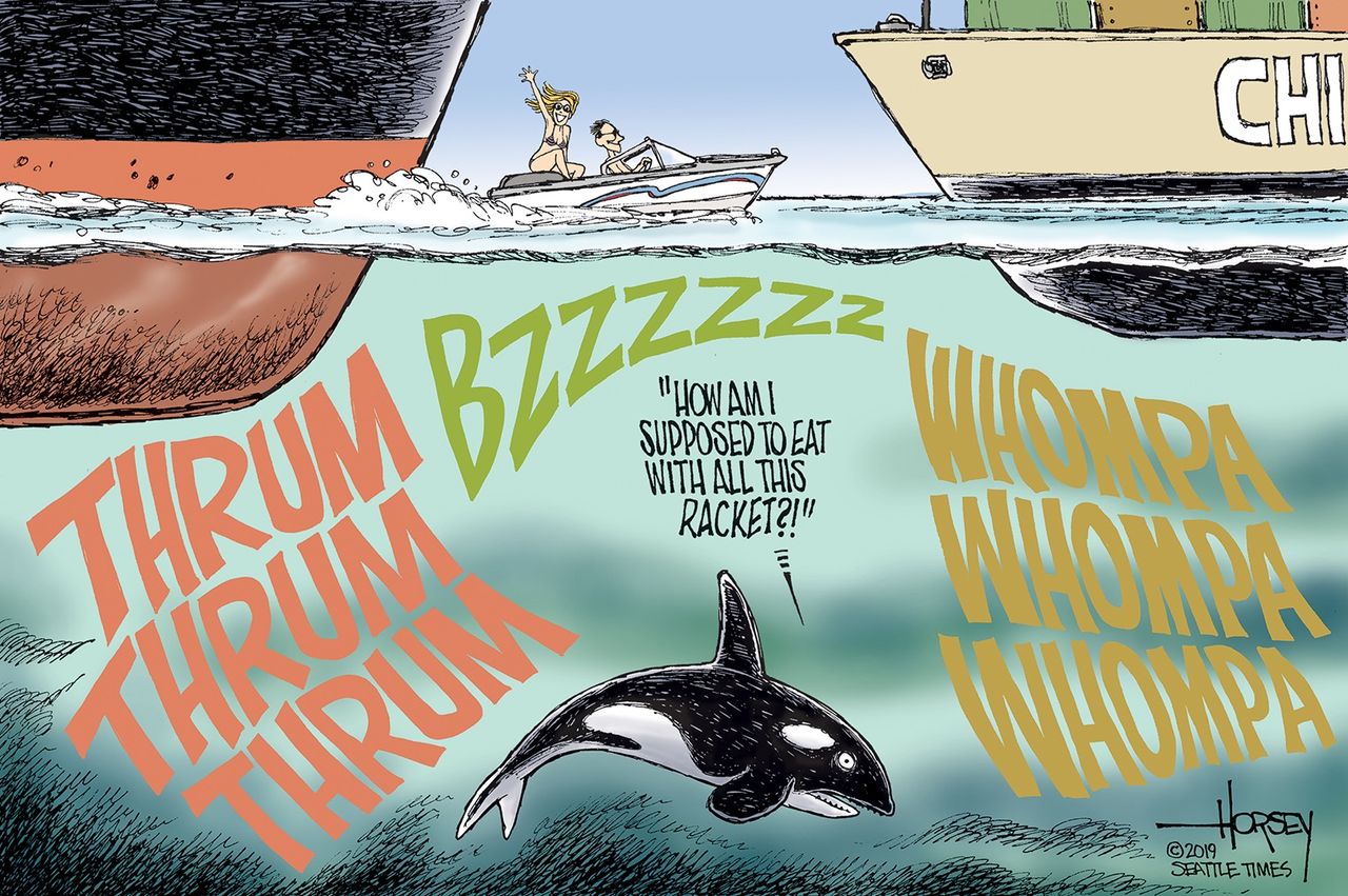 Political Cartoon U.S. Orcas Noise Pollution Shipping Boats