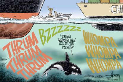 Political Cartoon U.S. Orcas Noise Pollution Shipping Boats