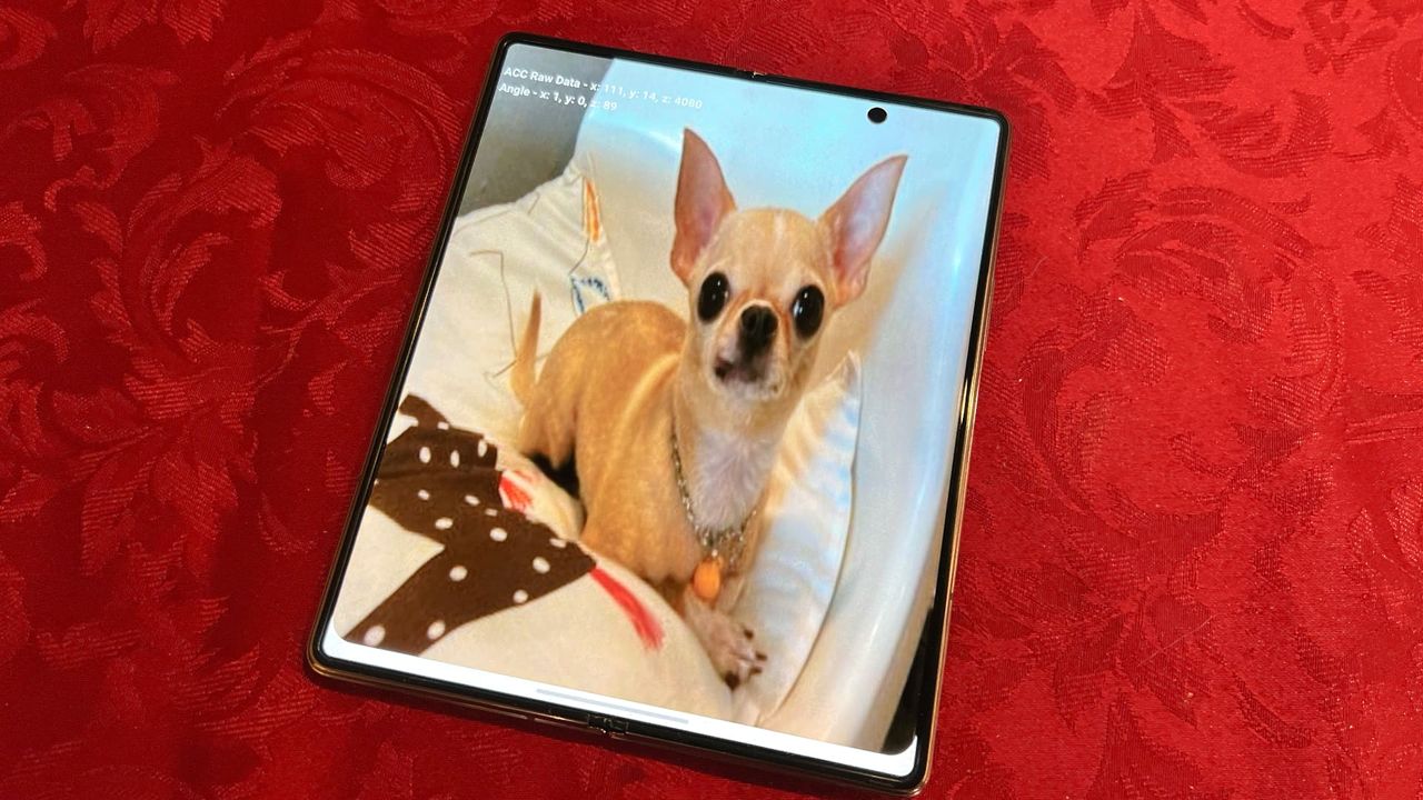 S&aring; hittar du chihuahuan i din Samsungtelefon