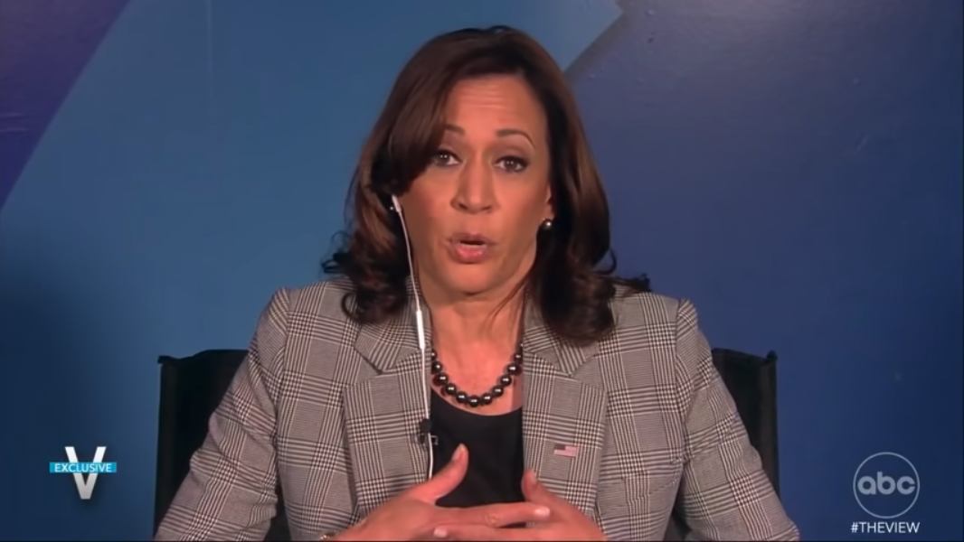 Kamala Harris on The View