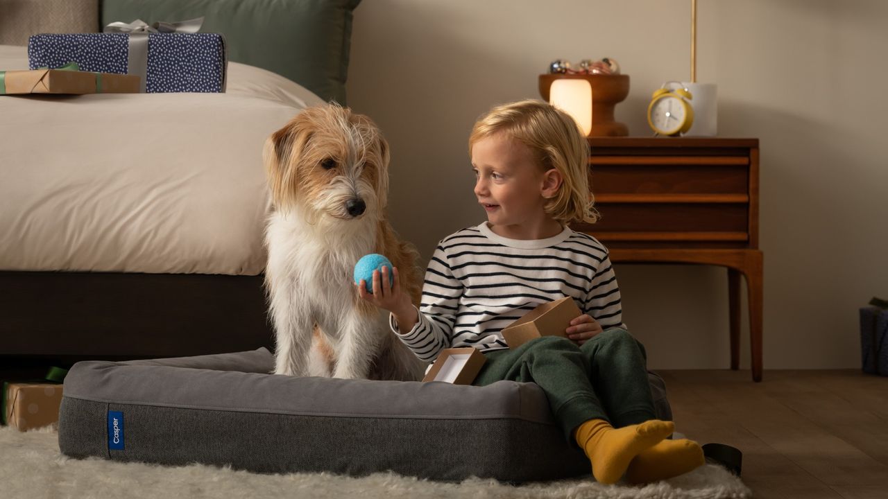 best dog bed casper