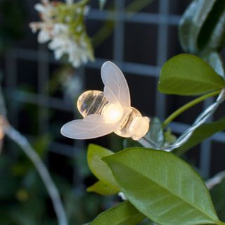 20 Bee Led Solar Fairy Lights