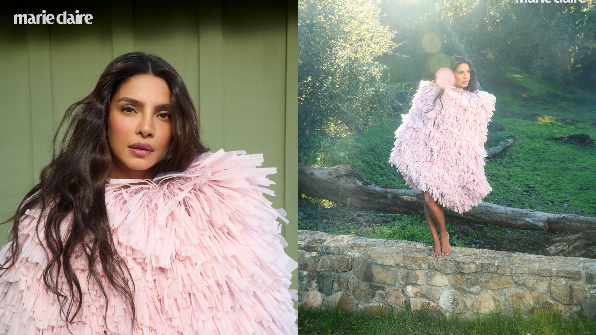 Priyanka Chopra Jonas