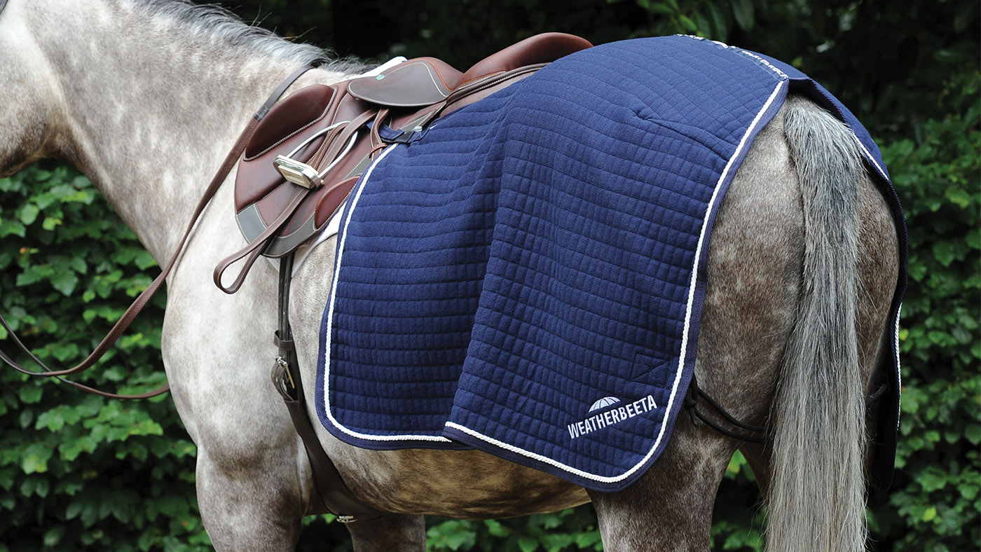 WeatherBeeta Thermocell quarter sheet