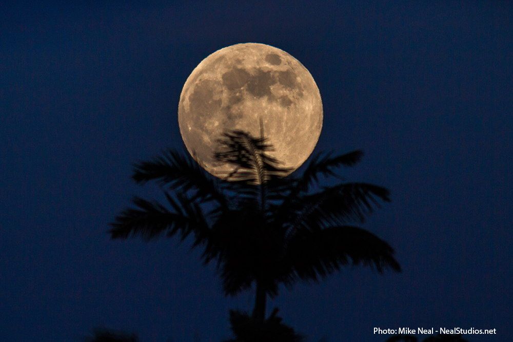 2013 Harvest Moon Over Maui, HI