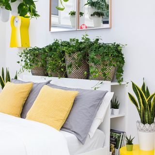 white bed with yellow side tables and potted plants on shelf