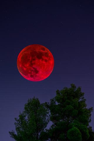 How to photograph the blood supermoon total lunar eclipse