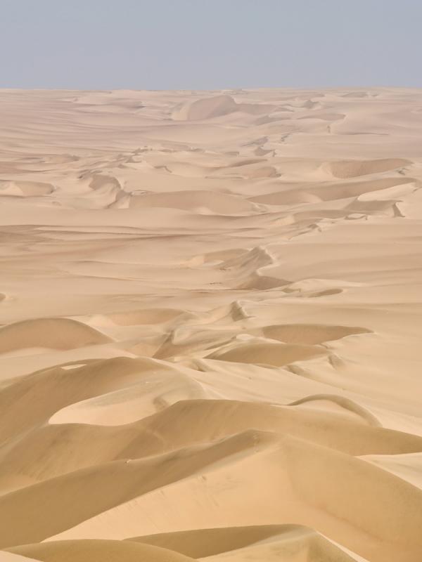 Where Is The Driest Desert In The World