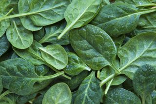 A close up of a pile of spinach leaves