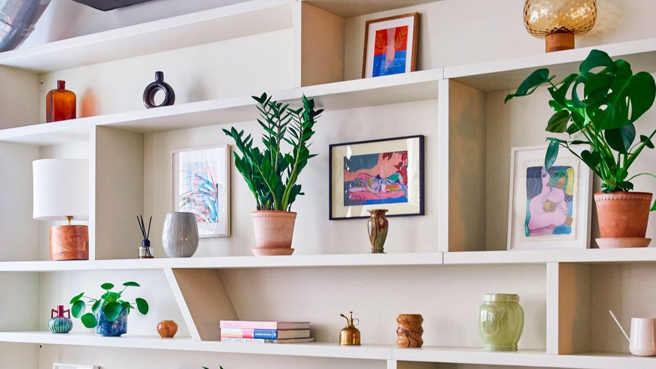 houseplants in a living room