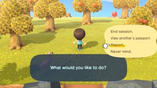 Animal Crossing New Horizons Report Player