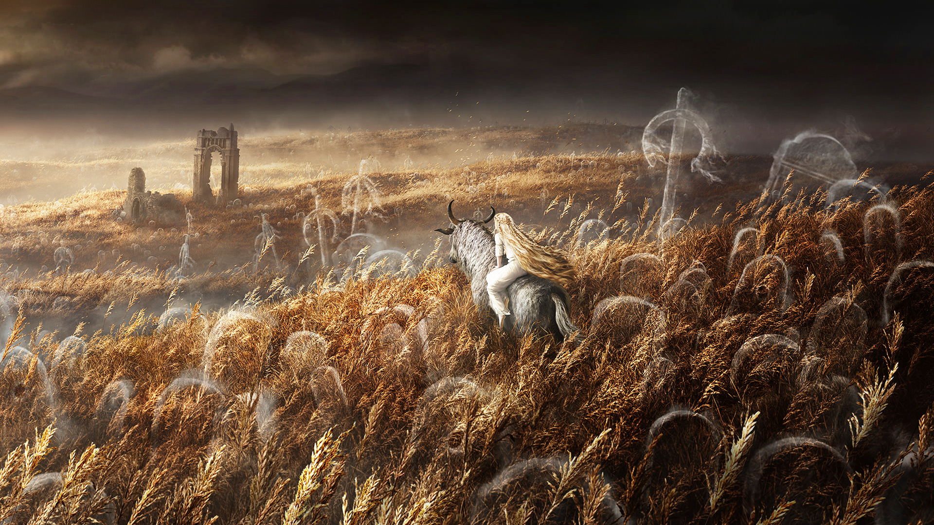 Elden Ring Shadow of the Erdtree DLC artwork with a character on a horse in a golden field