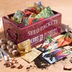 Seed storage box and seed packets