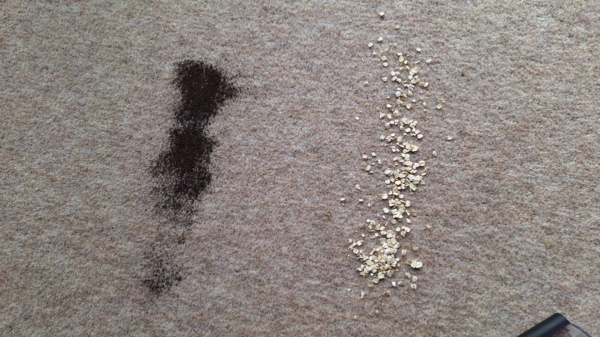 Loose tea and oats of the carpet, ready for the suction test