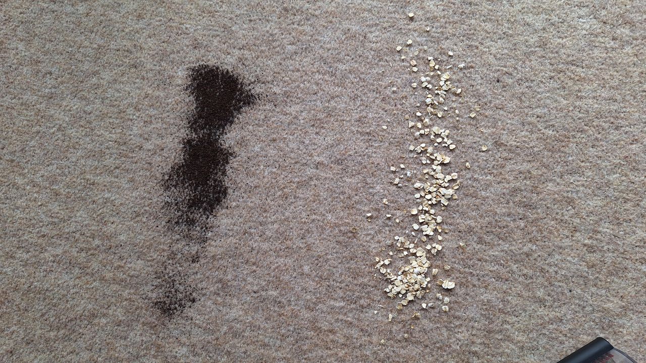 Loose tea and oats of the carpet, ready for the suction test
