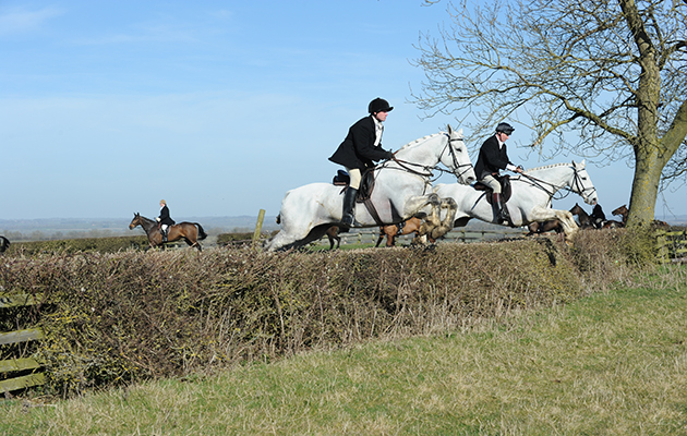 Jumping upsides: Rob Almond and Will Graham during a meet of the Fernie at Laughton near Market Harborough last season