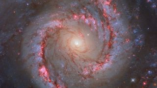 NGC 1566