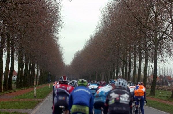 The peloton in Gent-Wevelgem.