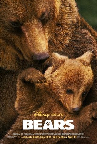 Bears movie poster