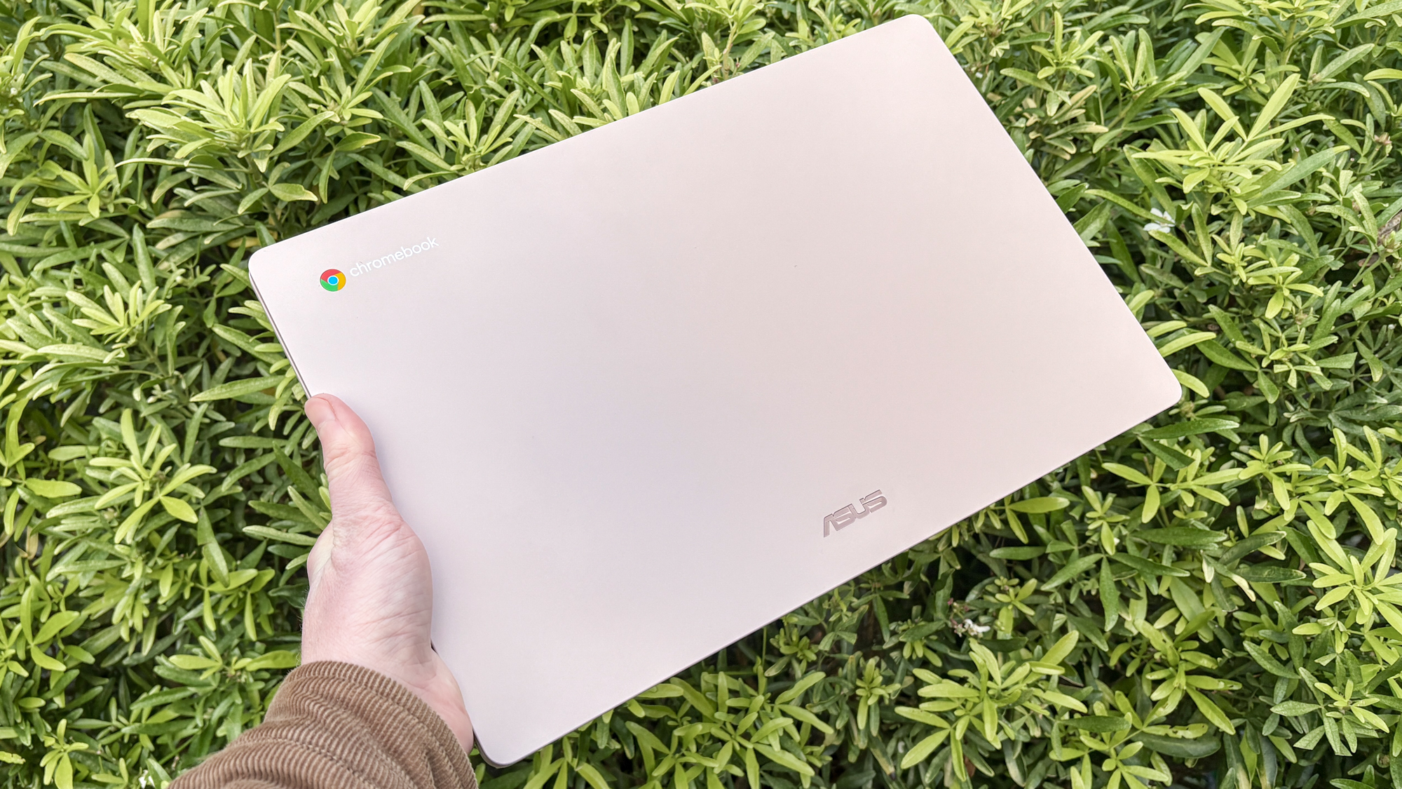 Asus Chromebook CX15