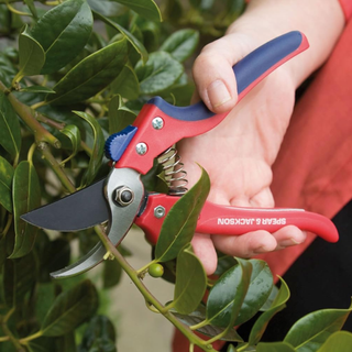 Spear & Jackson Razorsharp Advantage Bypass Secateurs pruning hedge