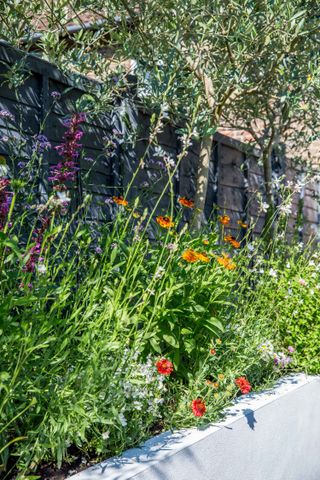 organic gardening: raised bed with colourful flowers