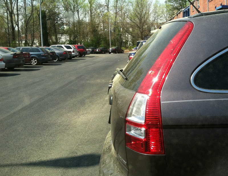 record pollen count, what is behind record pollen numbers, what is causing allergies this year, 2012 allergy season, early spring