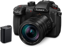 Panasonic Lumix GH5 II with Leica 12-60mm | was
