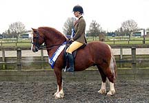 Chloe-Chubb.jpg