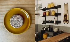 dallas and amator in copenhagen