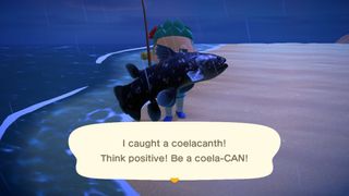 Seaweed makes a good decoration for a beach! : r/AnimalCrossing