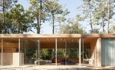 house with glass windows in woods