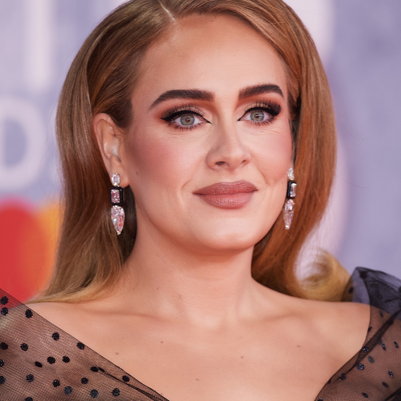 Adele halts Las Vegas concert to defend fan against security guards