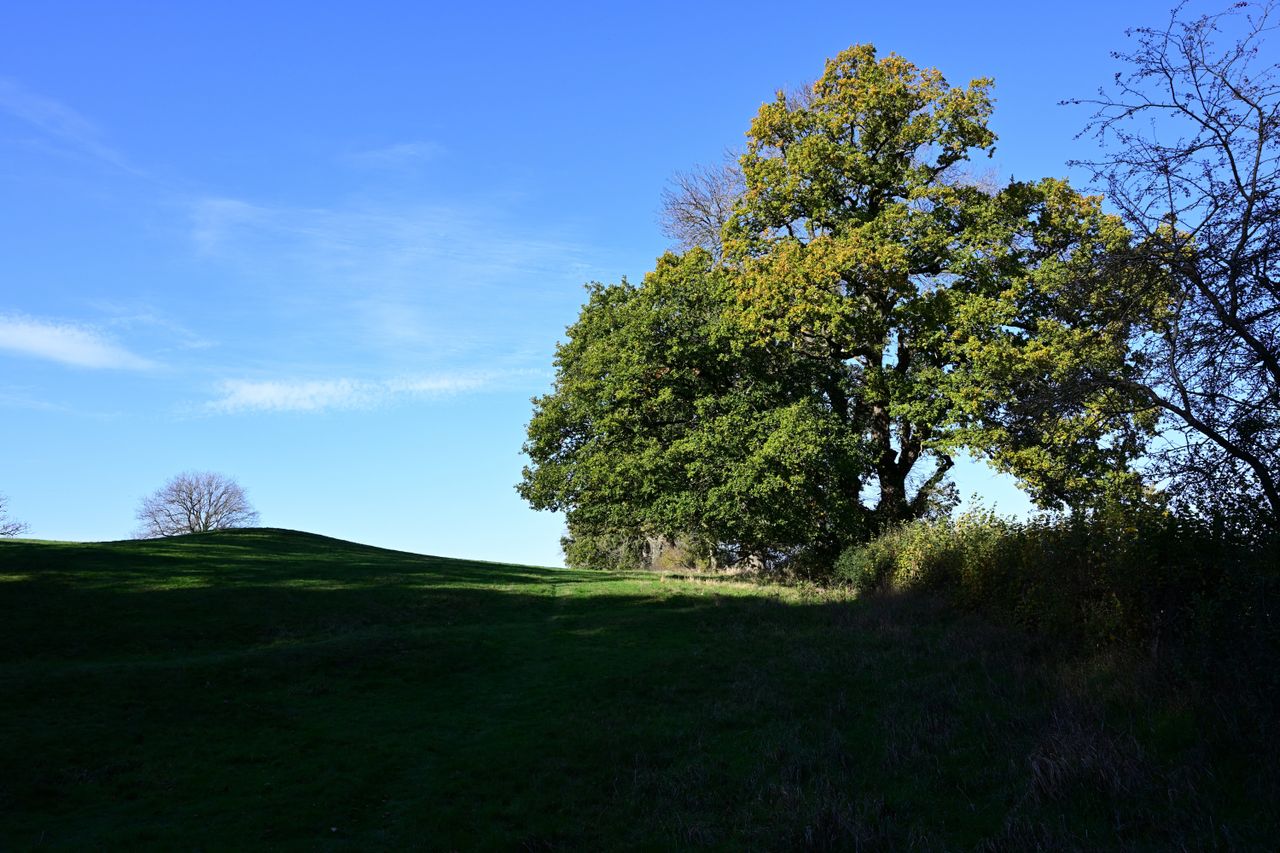 Nikon Z 17-28mm f/2.8